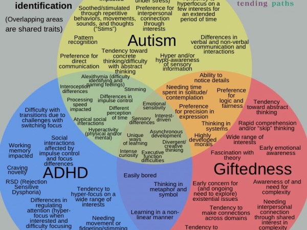 Autism-Adjacent, Part Two: Hopefully a&nbsp;Conclusion