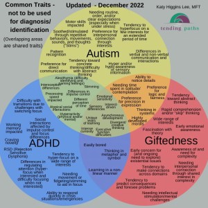 Venn Diagram with Autism, ADHD, and Giftedness showing similarities between the three